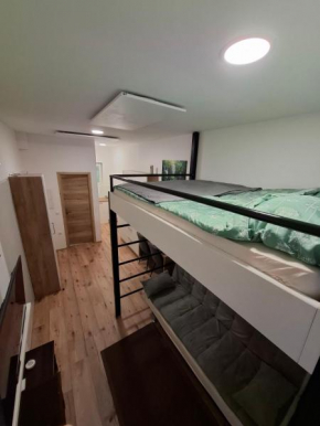 apartma Pohorc - Praprot